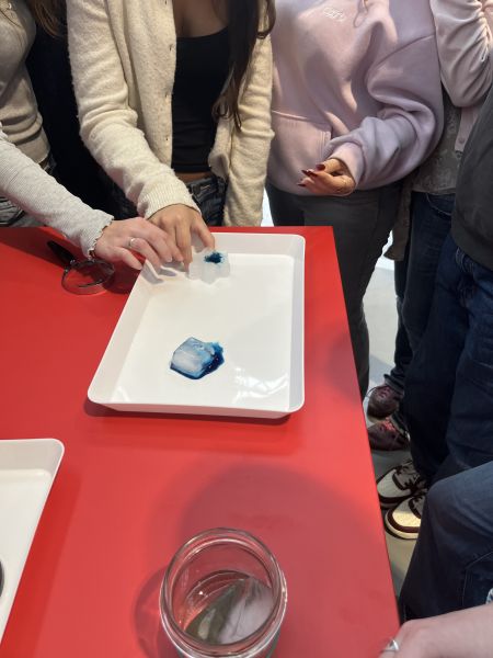 Klima expedition 2025 3