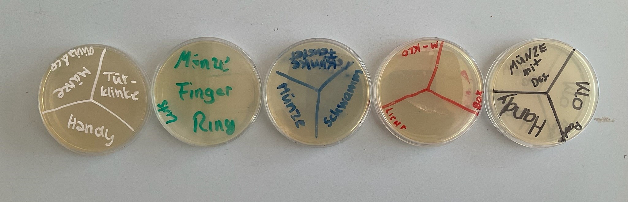 Bio10jhg1